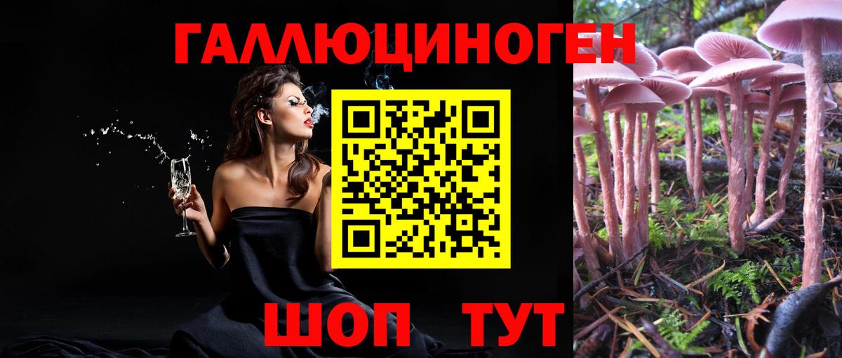Галлюциногенные грибы мухоморы Лыткарино