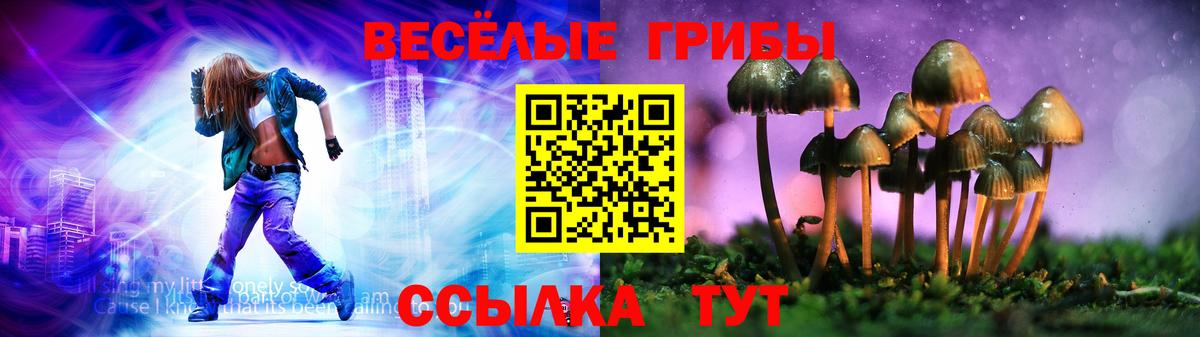 Псилоцибиновые грибы Лыткарино